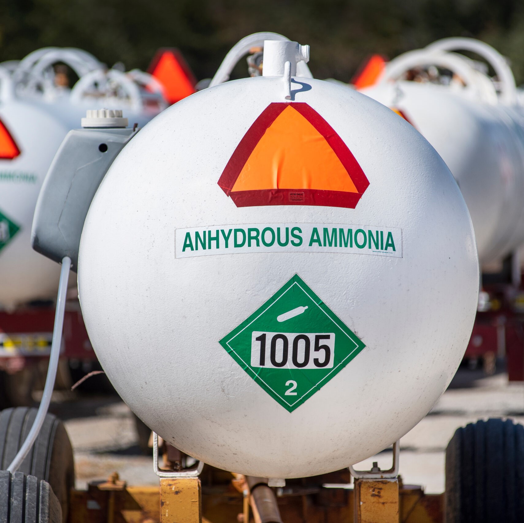 Ammonia 1 scaled 1